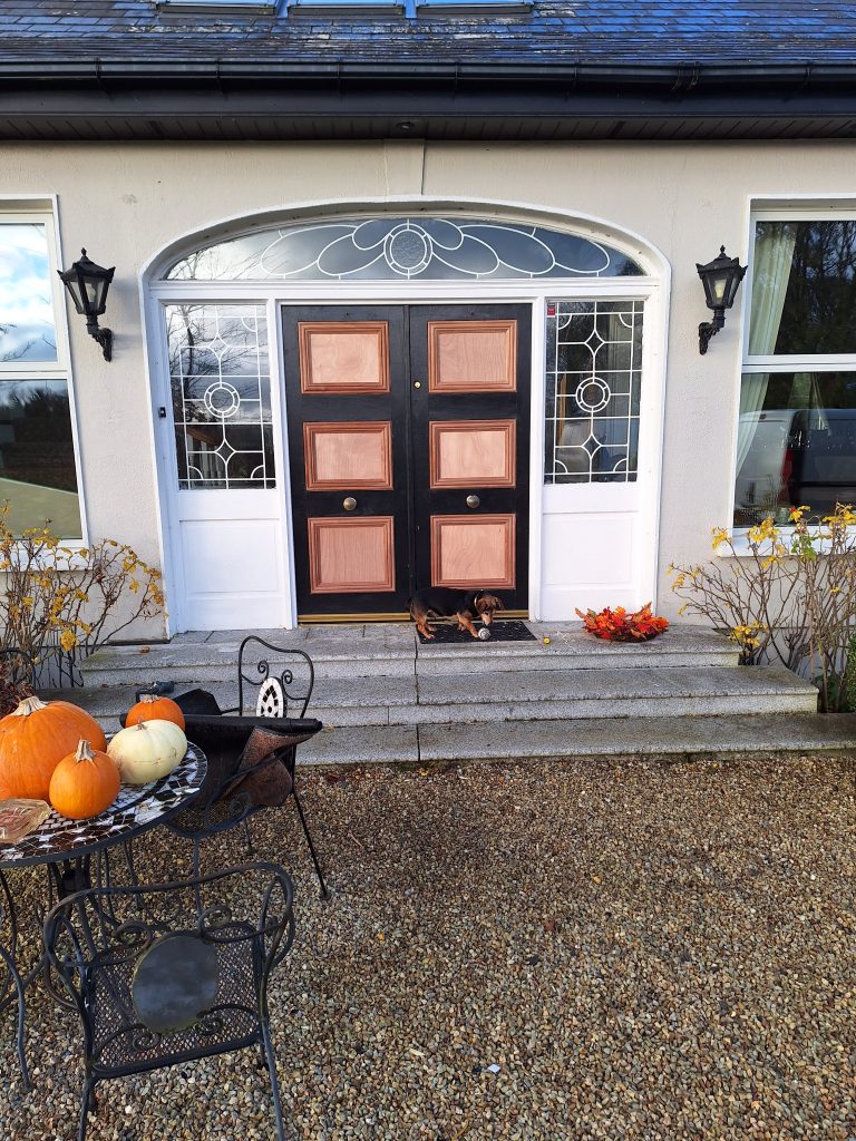 Door fitting, fitting door, repairing door, door repair, carpentry solutions, carpenter in blessington, blessington carpenter